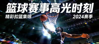 333体育官方网站Logo - 一个充满活力的绿色盾牌形状标志，中间有数字333和足球图案